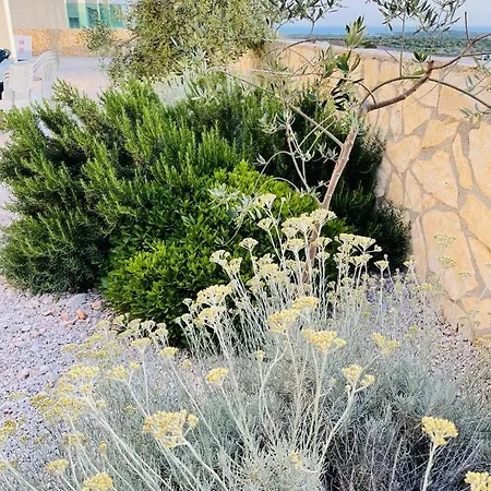 Anapartments 公寓 普利莫顿