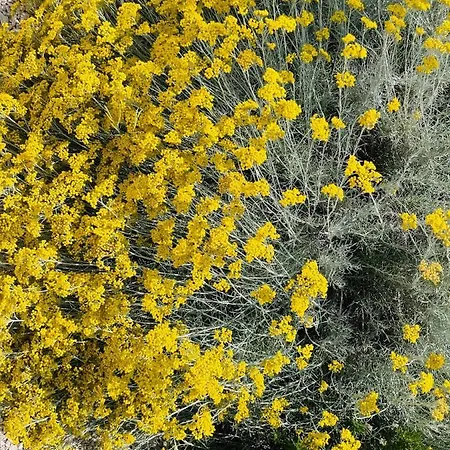 Anapartments * Primosten