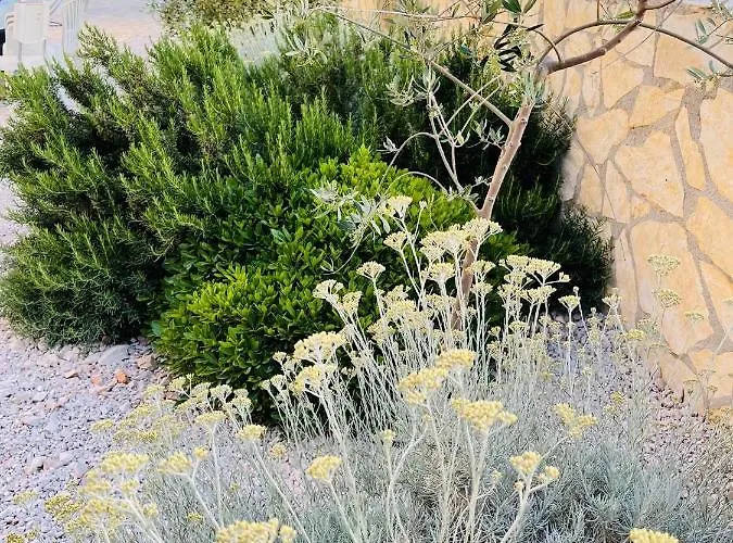 Anapartments 아파트 프리모스턴