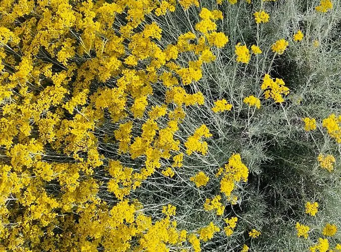 Anapartments * Primosten